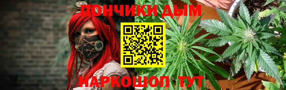 Канабис гибрид Кашира